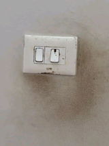 Kaushik review photo