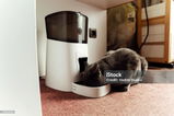 Diana Welsy review photo