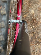 AndrewT review photo