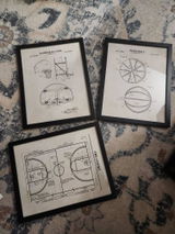 Ara review photo