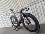 Romer D. review photo
