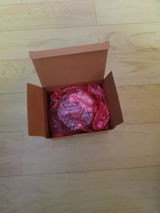 Anonymous review photo