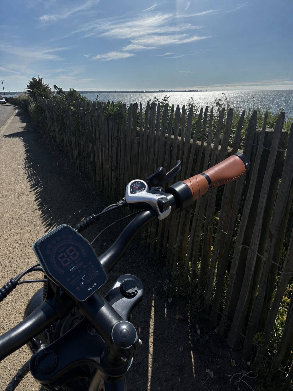 DYU M20 Bicicleta Eléctrica Todoterreno de Gran Autonomía