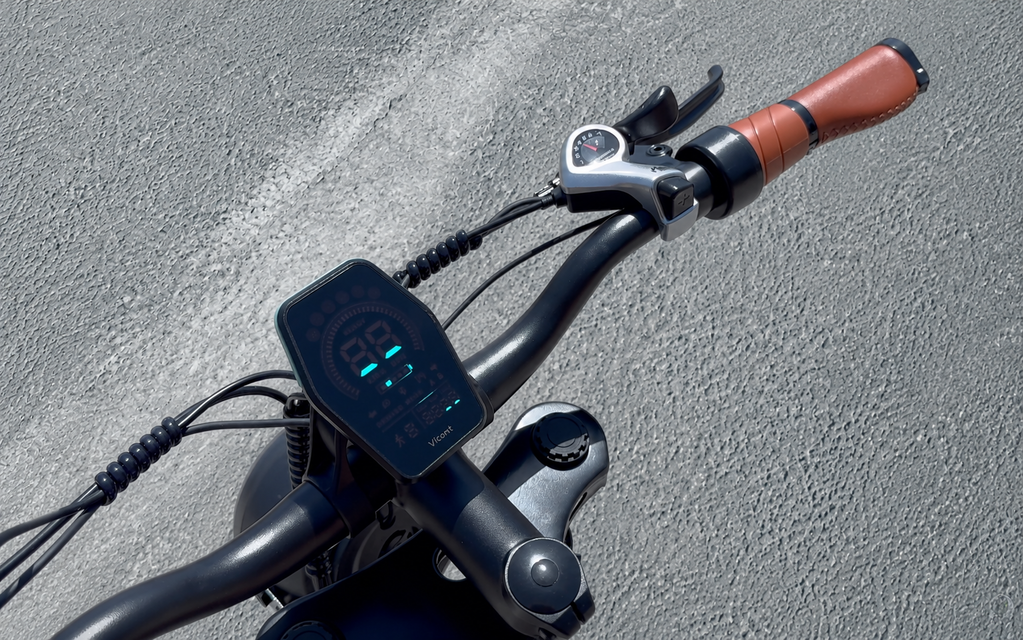 DYU M20 Bicicleta Eléctrica Todoterreno de Gran Autonomía