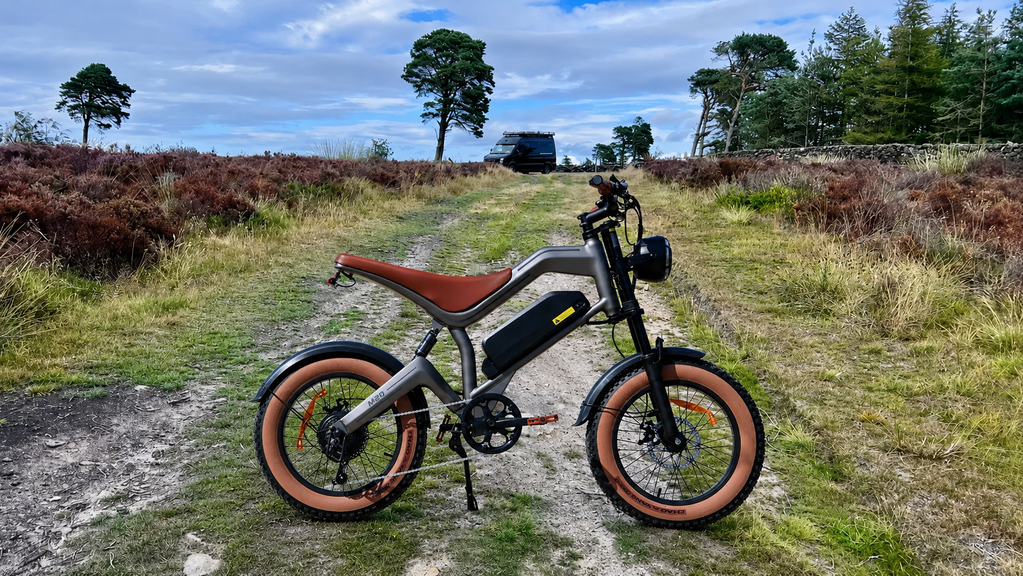 DYU M20 Bicicleta Eléctrica Todoterreno de Gran Autonomía