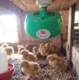 Joshua Y. review photo