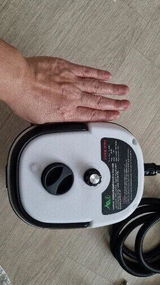 Davaid review photo