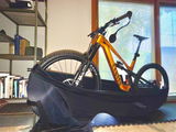 Allan M (For MICHIGAN Mitten) review photo