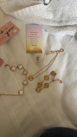 Aleena Ahmed review photo