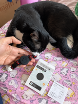 Moritz B. review photo