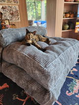 Daniel Harris review photo