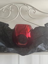Bri review photo