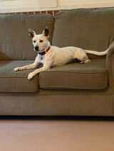 Elaine review photo