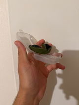 Tony R. review photo