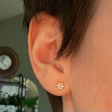 April E review photo