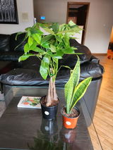 Breigha A. review photo