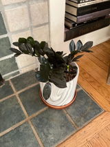 Keri W. review photo