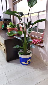 Тонислава Стоянова review photo