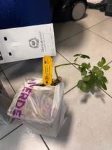 Szilvi B. review photo