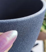 Andra S. review photo