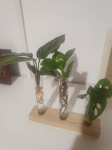 Gabriela I. review photo