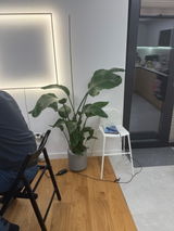Anonim review photo
