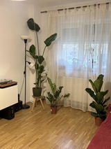 Raluca Bocai review photo
