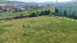 BIRSAN A. review photo