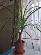 Mihaela S. review photo