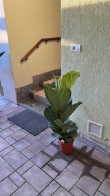 Razvan F. review photo
