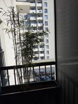 Mihaela S. review photo