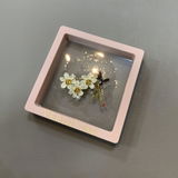 Susan Isenberg review photo