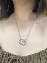 Diane Bottone review photo