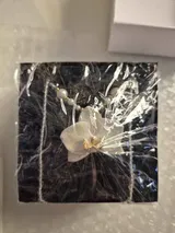 P.H. review photo