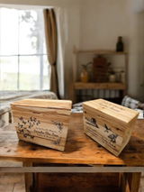 June review photo