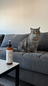 Dilara review photo