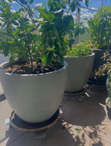 Heavy Duty Australian Made General Purpose Planter Trolleys