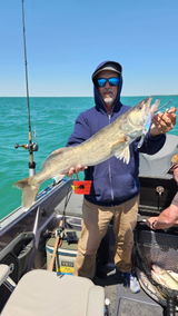 Pauleye review photo