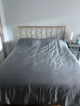 Judy P. review photo