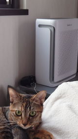かきやろう review photo