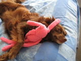 Lorraine P. review photo