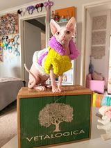 Piglet Berkley review photo