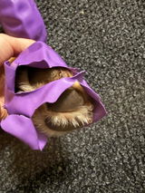 Karoliina L. review photo