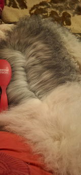 Pirre review photo