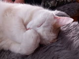 Ritva N. review photo