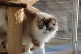 Riitta M. review photo