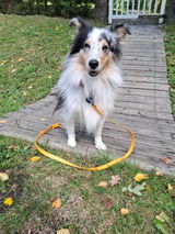 Maija H. review photo