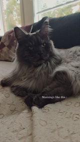 Kerstin P. review photo