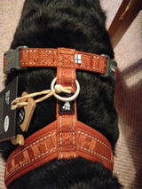 suvi review photo