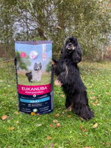 Eija review photo